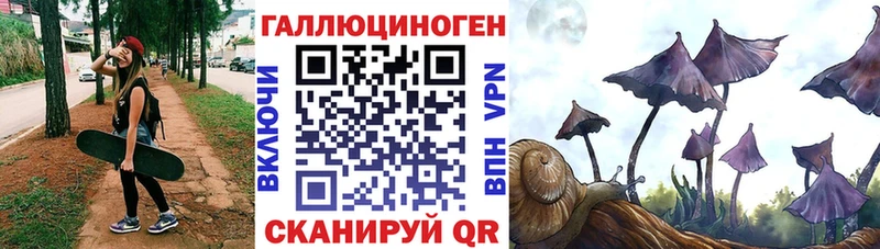 купить   Краснокаменск  Галлюциногенные грибы Psilocybe 